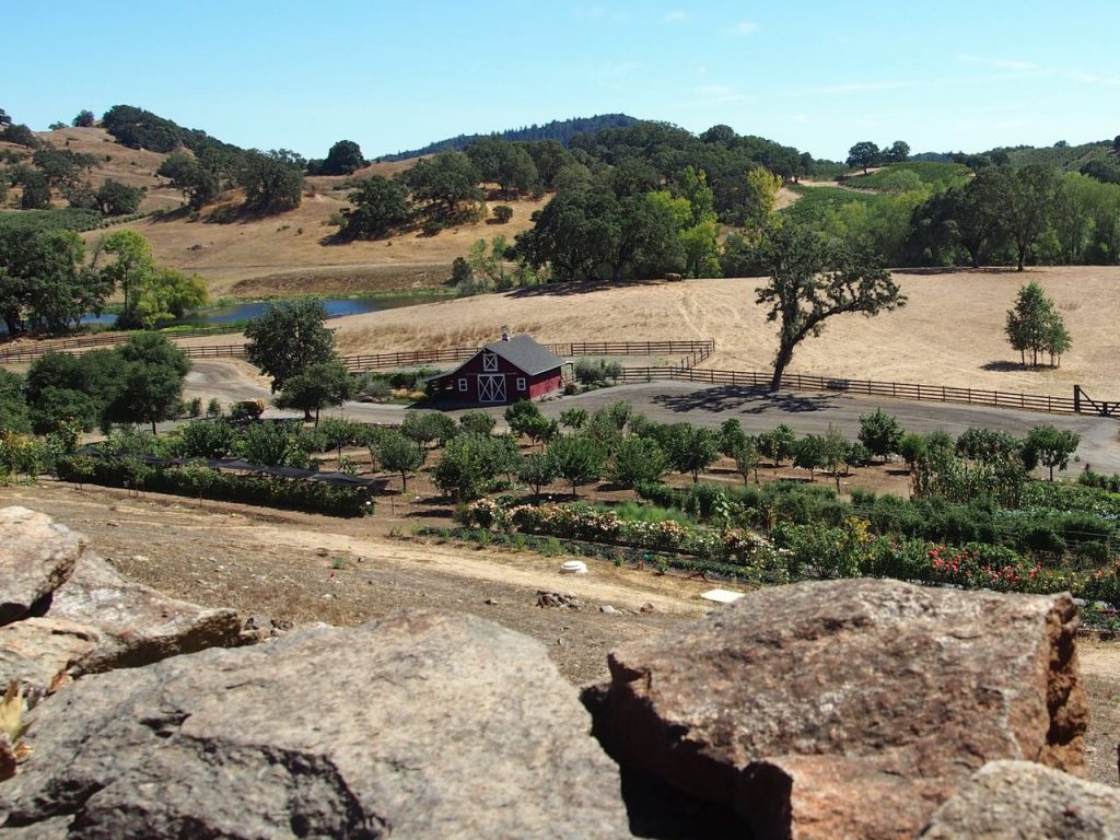 Stunning view of Jordan Winery's organic garden and grazing acres tucked away by the rolling hills of the Alexander Valley AVA.