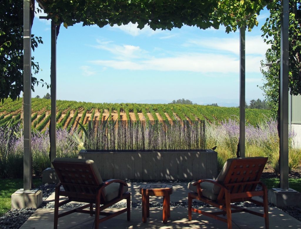 Hobbs Vineyard View