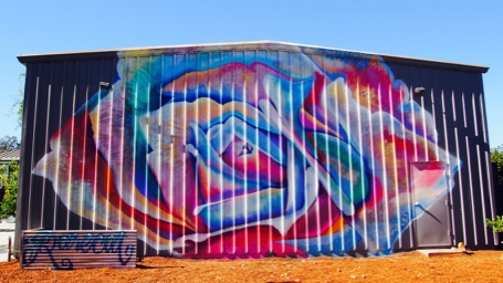 rarecat grafiti
