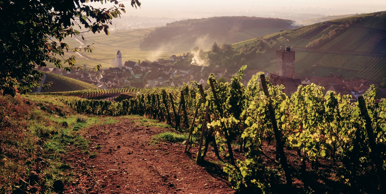 Photo 5 - Katzenthal